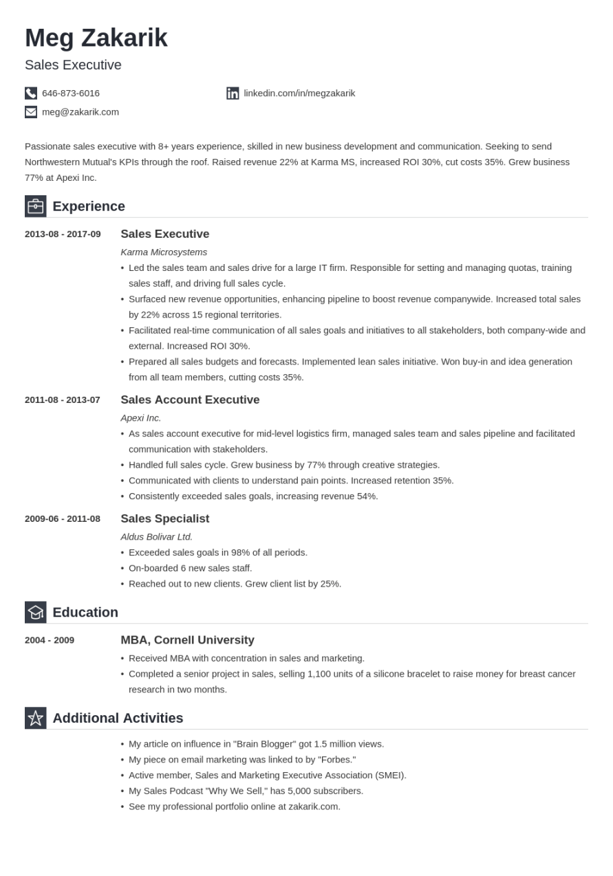 Best Executive Resume Template & + C-Level Examples
