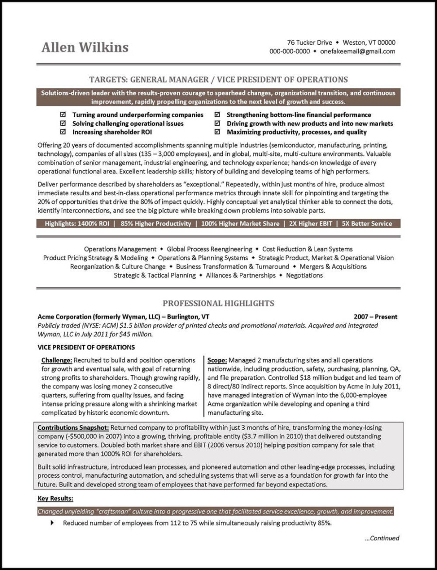 Vice President Resume Example - Distinctive Career Services