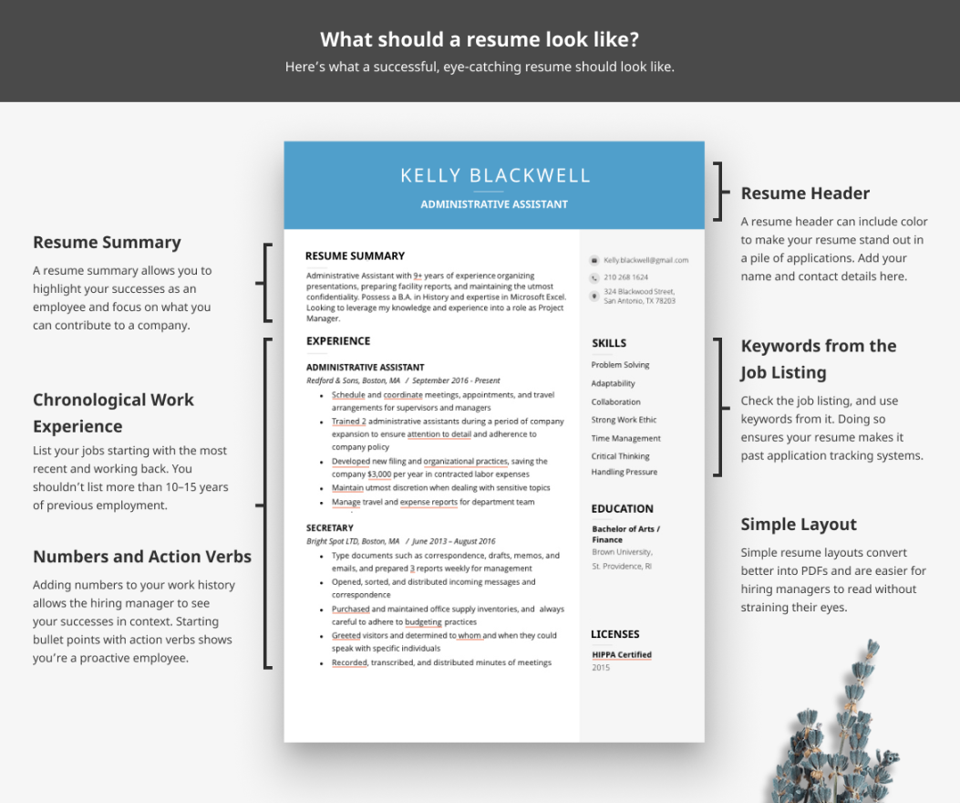 What Should a Resume Look Like in ?