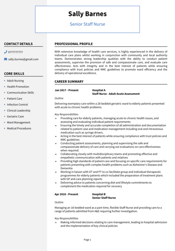 Nursing CV examples with guide + template [Get hired]