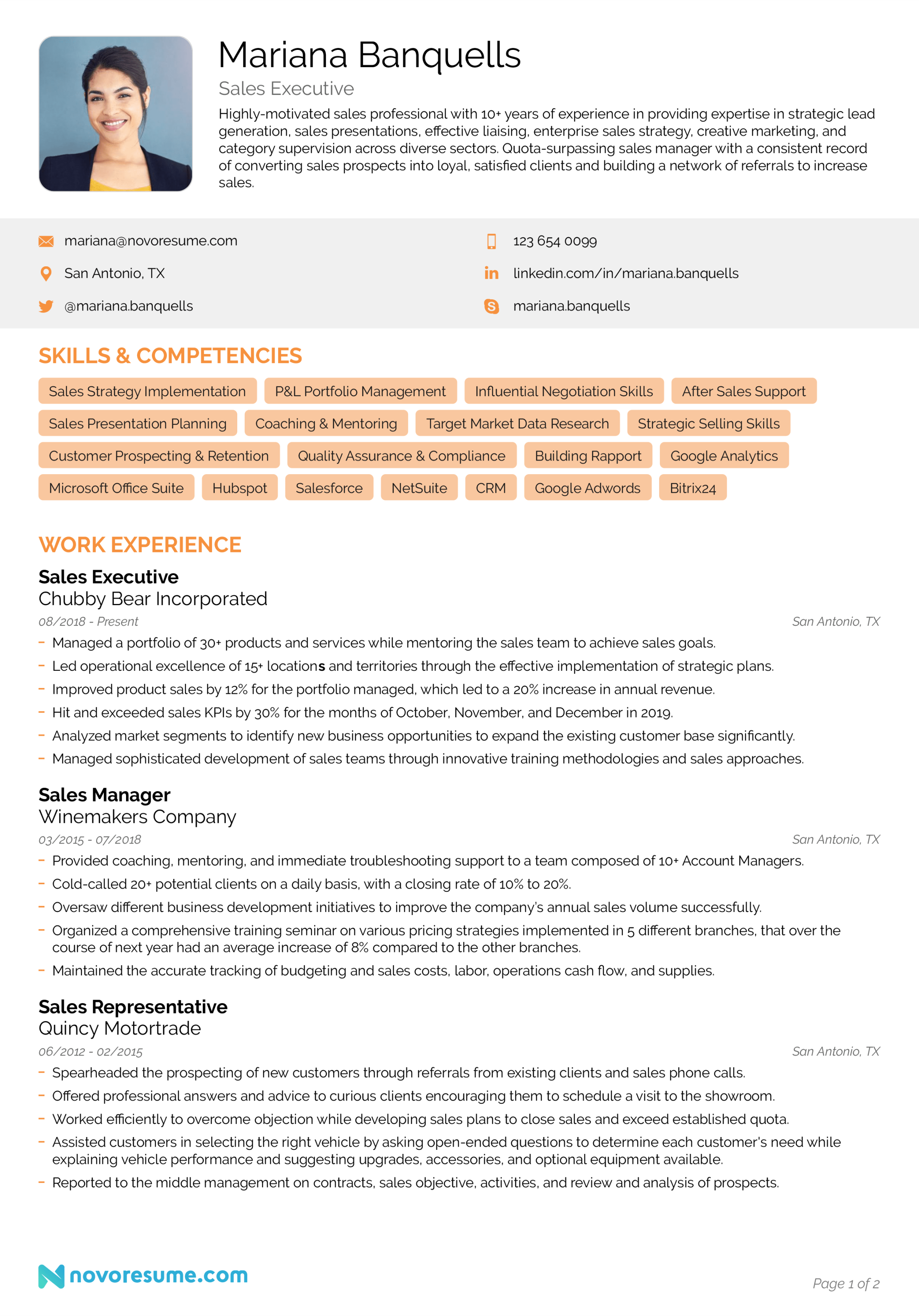 Sales Resume - Example & Writing Guide for